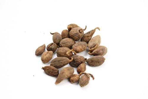 草果是用皮还是用籽